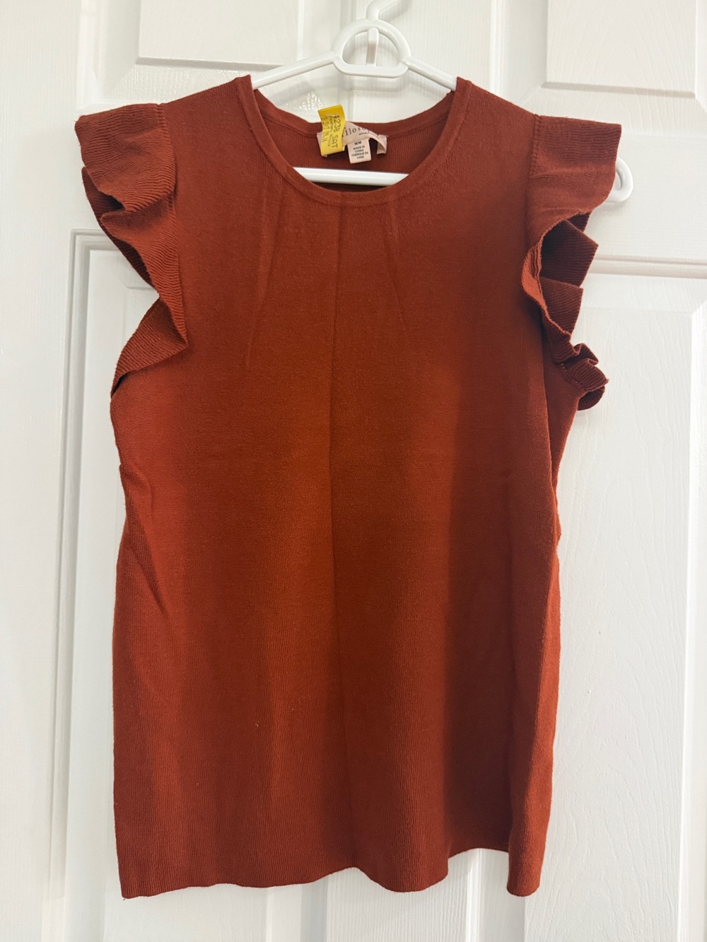 Philsophy Women’s Ruffle Sleeve Knit Top - Rust
